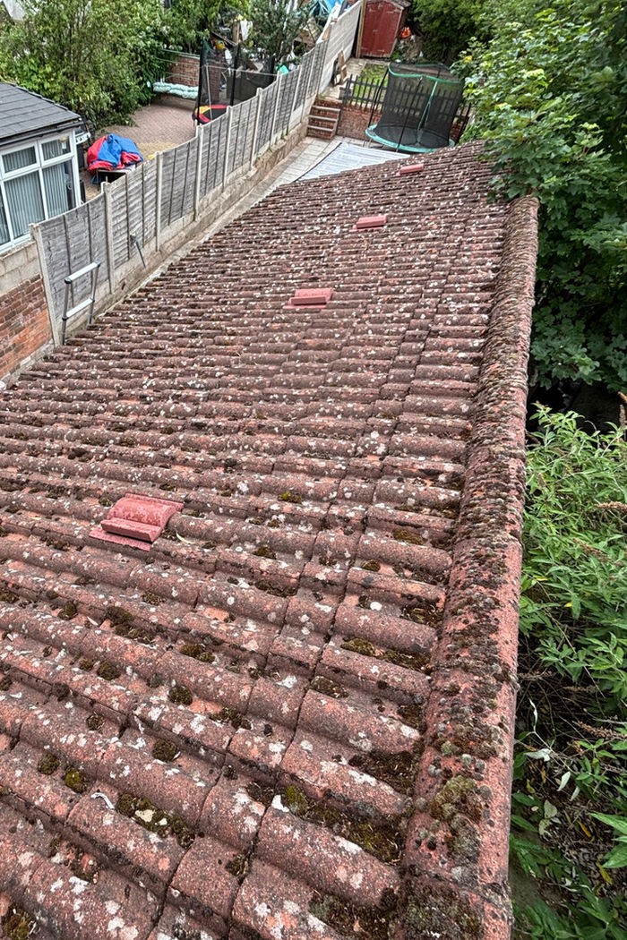 Roof cleaning before and after comparison